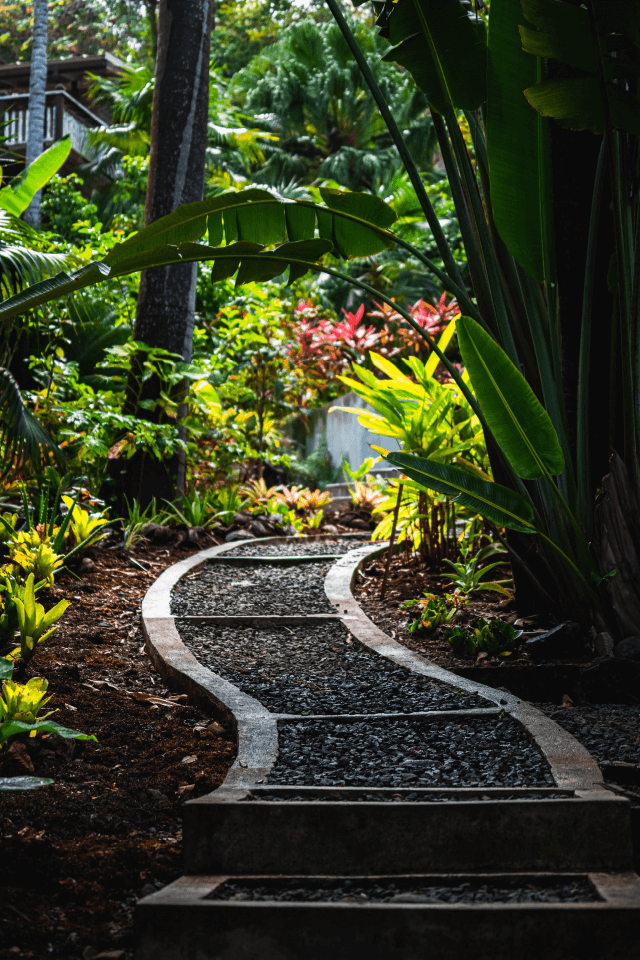 centro de jardineria guadalajara