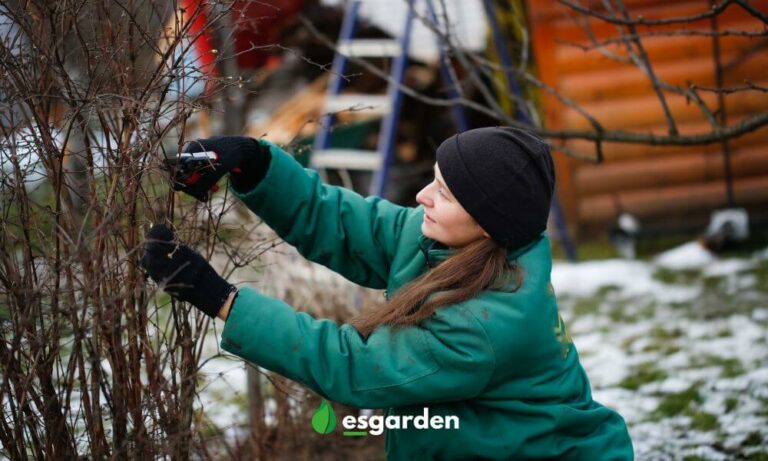 consejos para cuidado jardin invierno