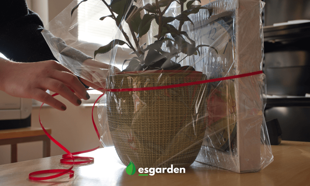 regalo de navidad amantes de las plantas