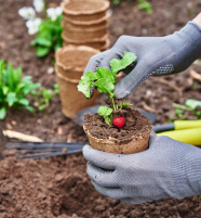 complementos de jardinería