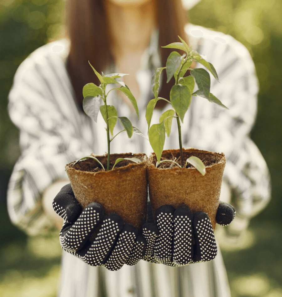 Qué son los jardines sostenibles