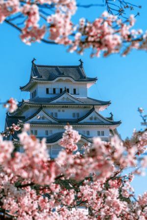 El significado del Hanami