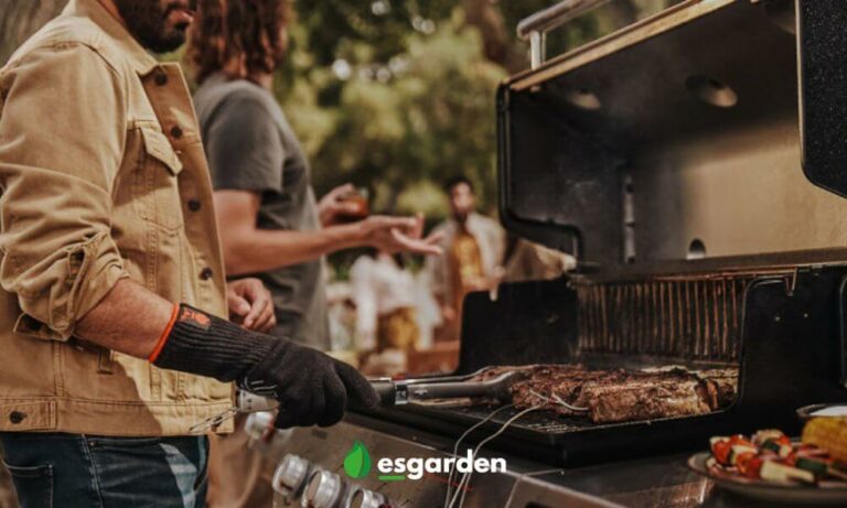 Ventajas de una barbacoa de gas