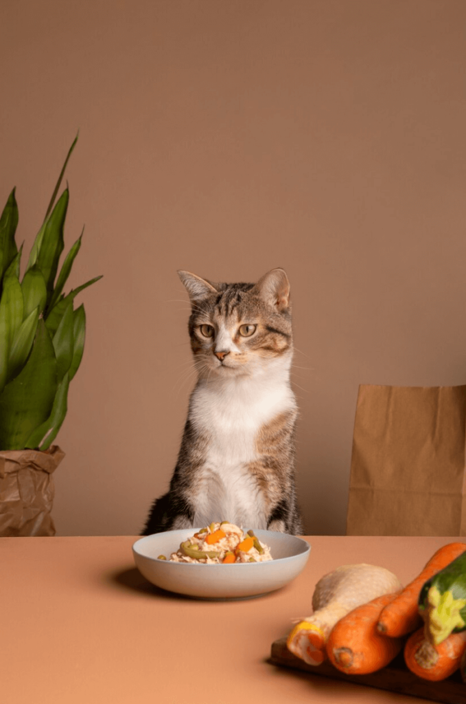 Qué es la dieta natural para mascotas