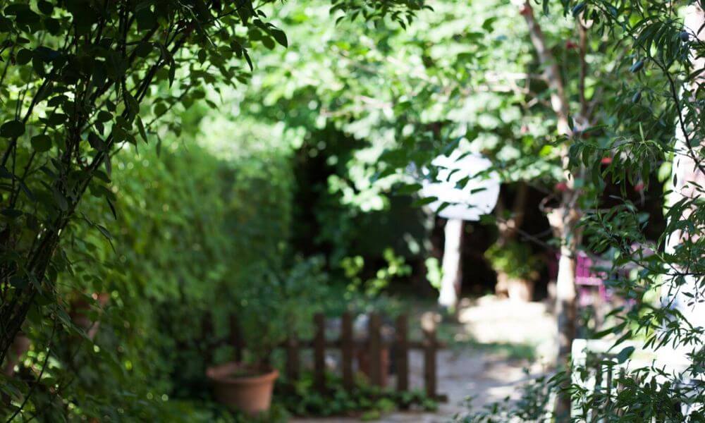 Un jardín naturalista en casa