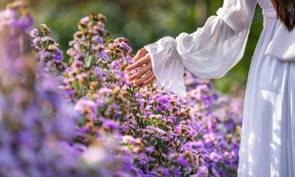 Sentido del tacto en un jardín sensorial