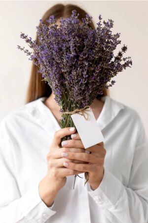 Flores de lavanda