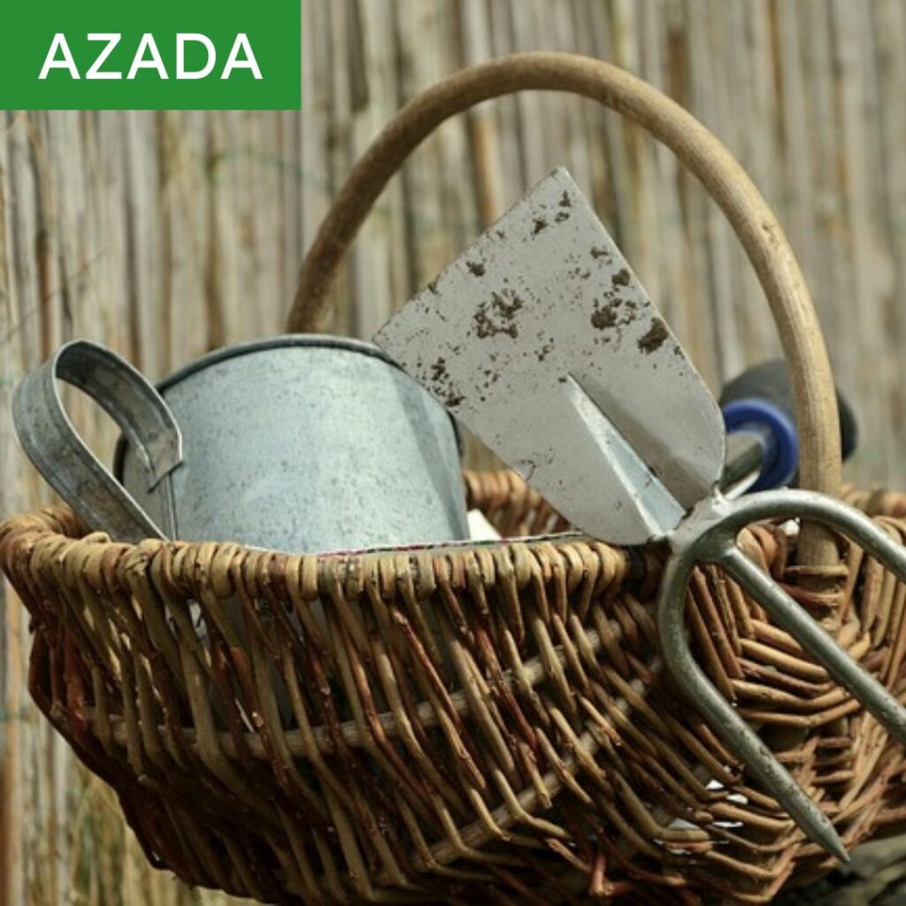 azada de jardineria